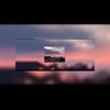 david_free476